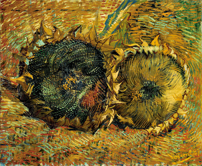  文森特·威廉·梵高  Vincent Willen Van Gogh —— 两朵向日葵 (1)